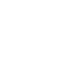 logo-teh-traik-300px